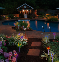 7-Color LED Fiber Optic Butterfly Solar Garden Light