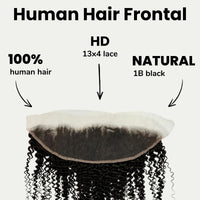 Jerry Curl 13x4 HD Lace Human Hair Frontal