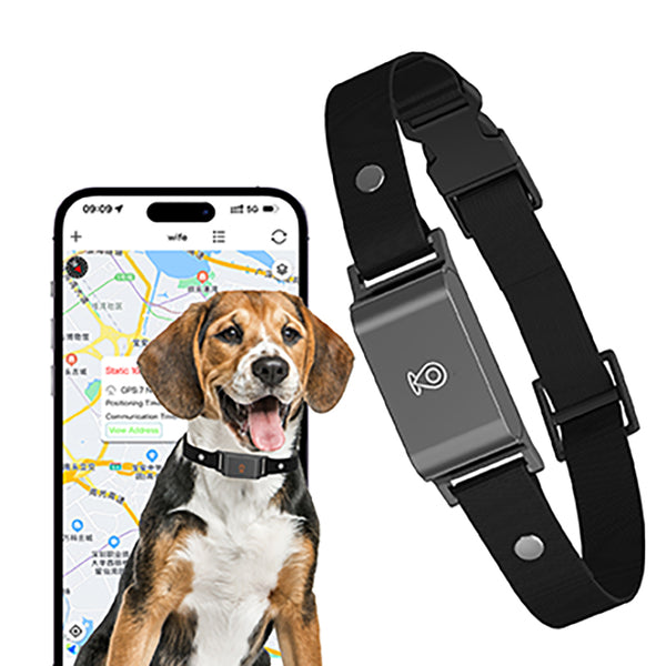Collar inteligente de localización GPS para mascotas
