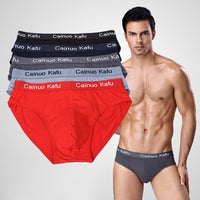 Men's Triangle Underpants Mid-Waist Ice Silk (1PC)