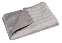 Cooling Ice Silk Mat for Summer Pet Comfort